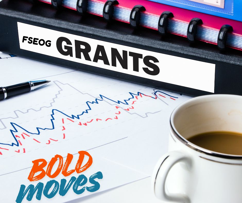 Federal Supplemental Educational Opportunity Grant.